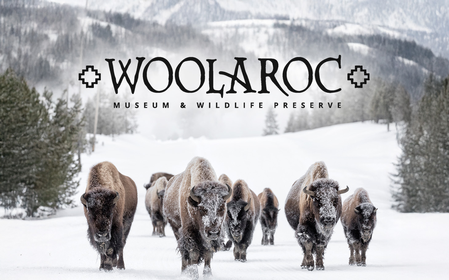 Woolaroc Museum and Wildlife Preserve